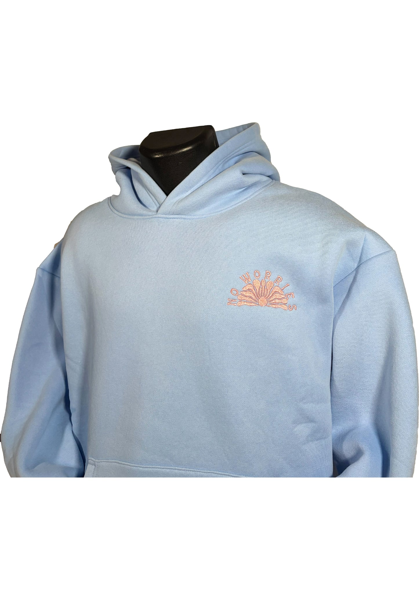 Adults Embroidered The Slow Lane Hoodie-Sky Blue