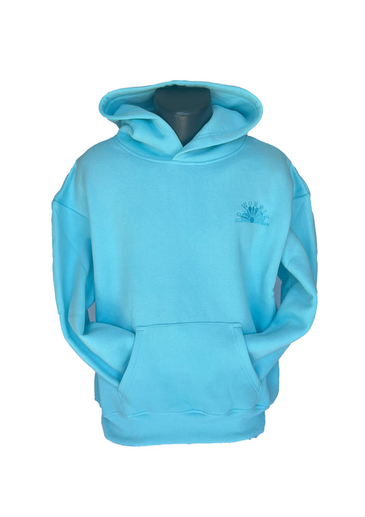 Adults Embroidered Tides Hoodie-Aqua