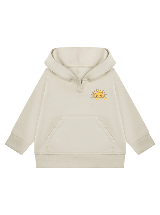 Toddler 3 Dolphins Hoodie